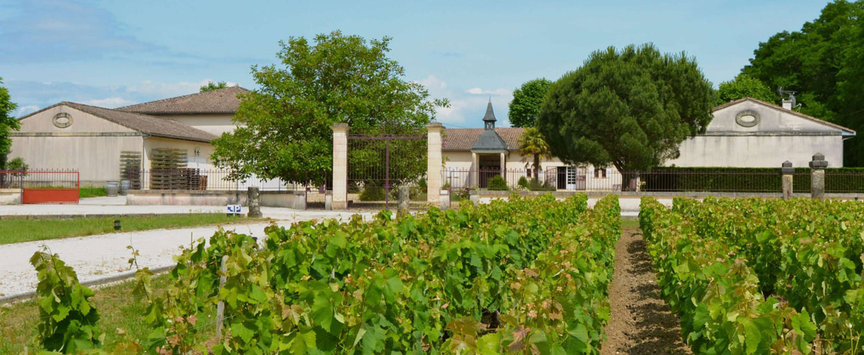 dégustation vin bio Bordeaux Vendays-Montalivet Médoc Bassin d'Arcachon