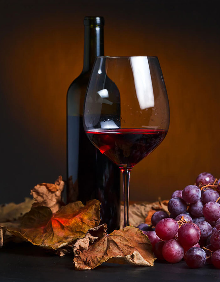 Dégustation de Vin et Vente de Vin Saint-Laurent-Médoc Lacanau Carcans