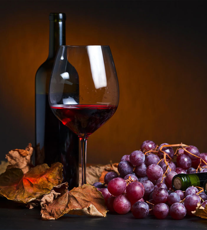 Vente vin bio Bordeaux Vendays-Montalivet Médoc Bassin d'Arcachon
